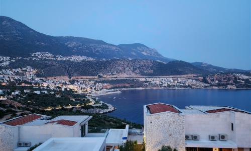 Villa Arya Exclusive — 110