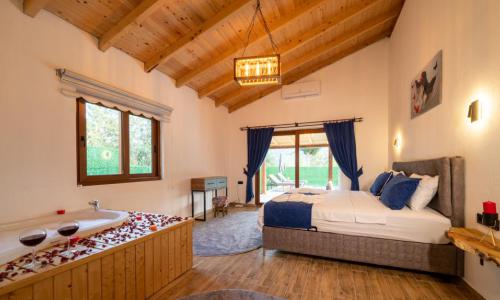 Villa Arya Kargı — 35