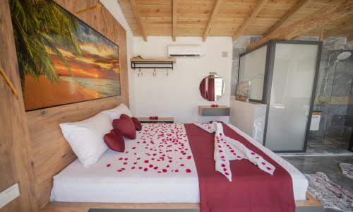 Villa Asel İslamlar — 29