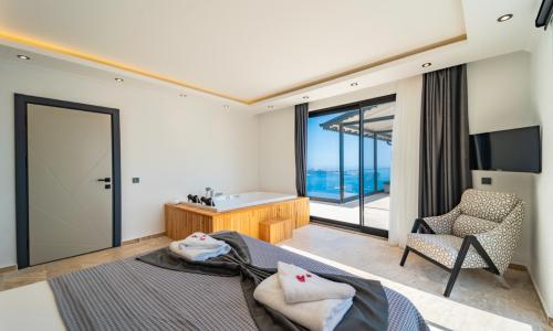 Villa Avenir — 66