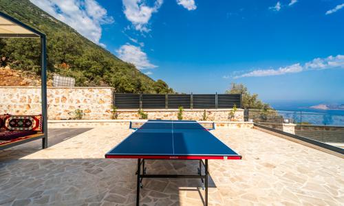 Villa Avenir — 44