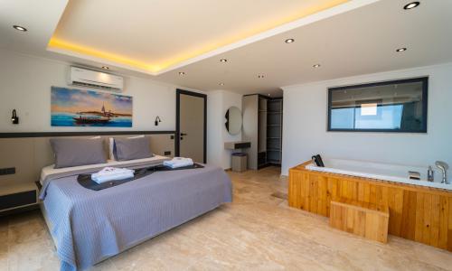 Villa Avenir — 77