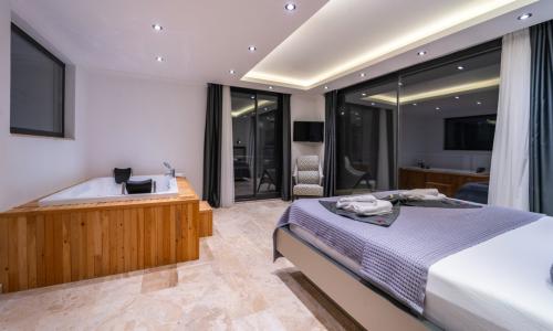 Villa Avenir — 93