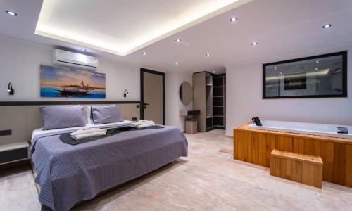 Villa Avenir — 95