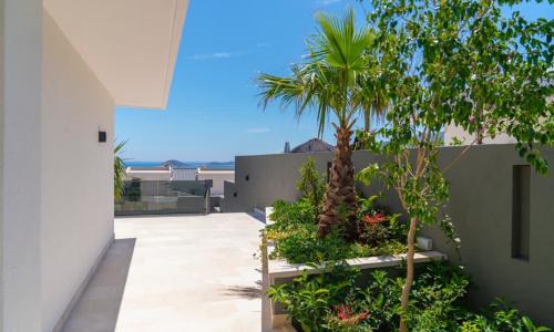 Villa Ayşe Exclusive — 45