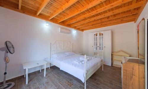 Villa Ayza — 37