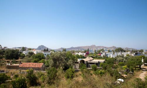 Villa Bambi 443 — 25