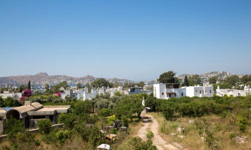 Villa Bambi 443 — 28
