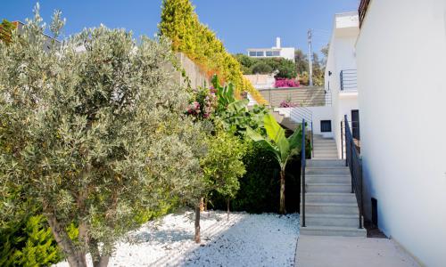Villa Bambi 443 — 30