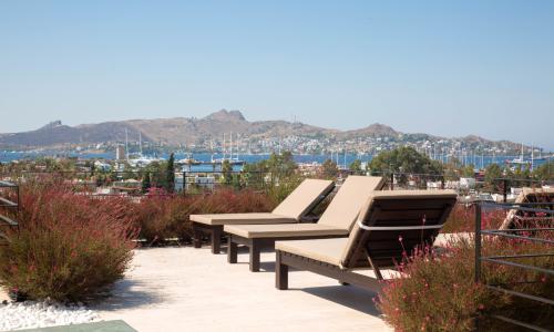 Villa Bambi 443 — 59