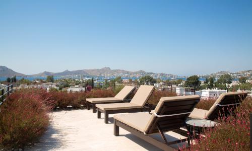 Villa Bambi 443 — 60