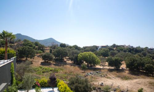 Villa Bambi 443 — 65