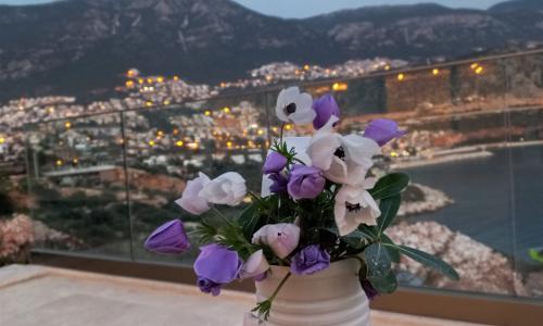 Villa Banu Exclusive — 122