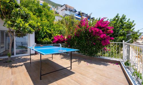 Villa Barış — 32