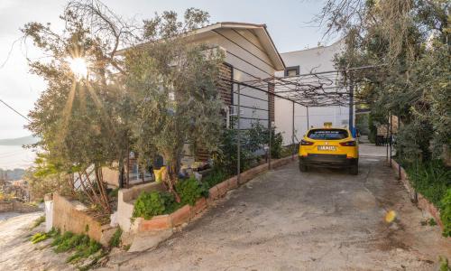 Villa Bercesti — 17
