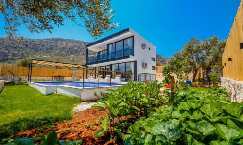 Villa Black Rose — 7
