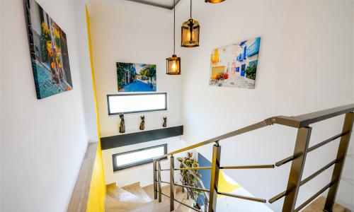 Villa Black Rose — 65