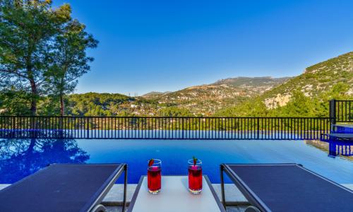 Villa Blue Night — 18