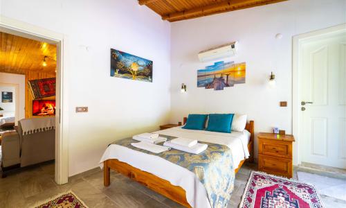 Villa Botanik — 36