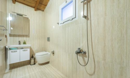 Villa Botanik — 48