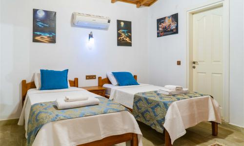 Villa Botanik — 70