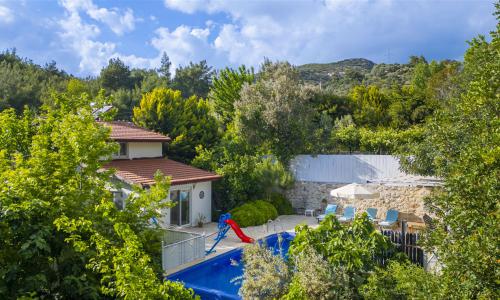 Villa Botanik — 5