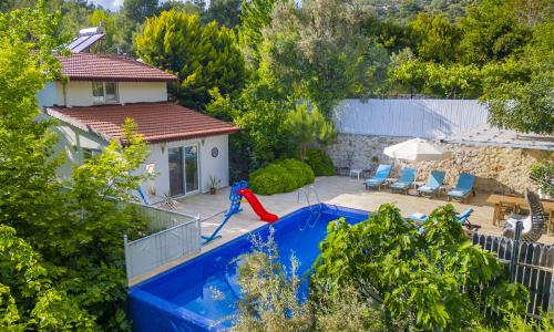 Villa Botanik — 6