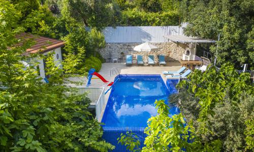 Villa Botanik — 78