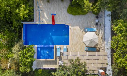 Villa Botanik — 9