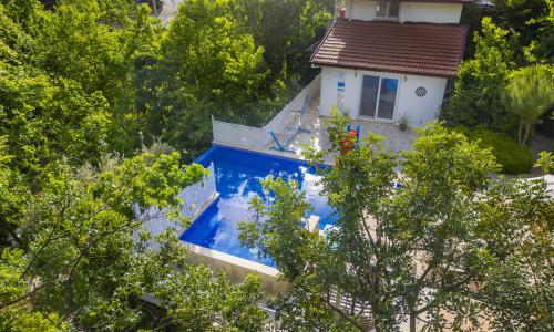 Villa Botanik — 7