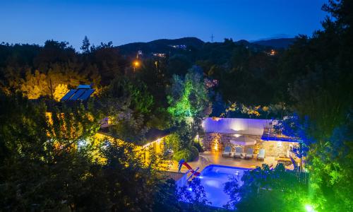 Villa Botanik — 80