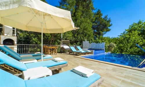 Villa Botanik — 8
