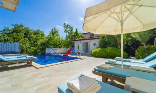 Villa Botanik — 4