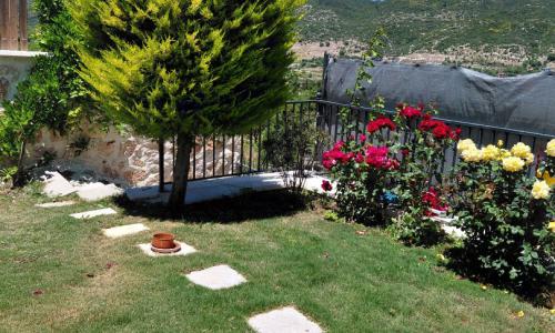 Villa Camdibi — 28