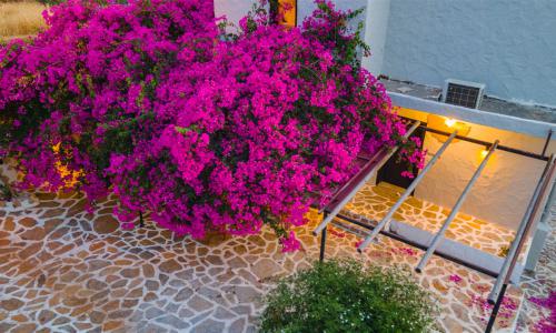 Villa Canan Patara — 78