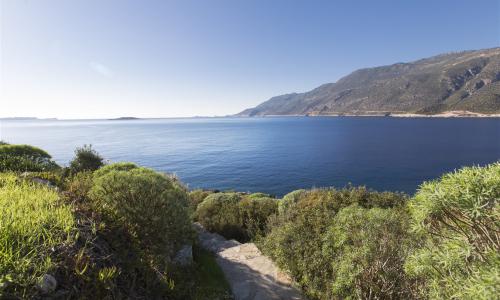 Villa Cape House — 4