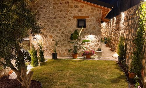 Villa Casa Petra — 23