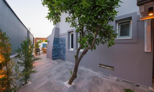 Villa Ceniba Kargı — 30