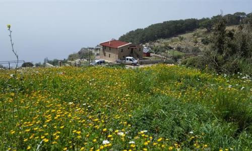 Villa Cennet — 13