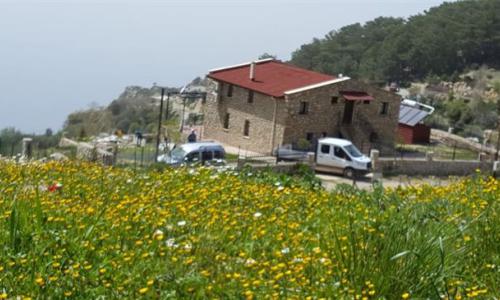 Villa Cennet — 16