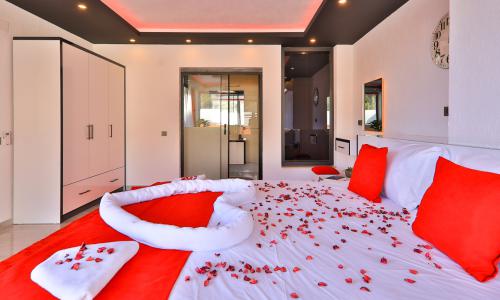 Villa Cika — 12