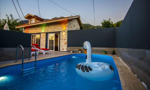 Villa Çınar 1 Üzümlü