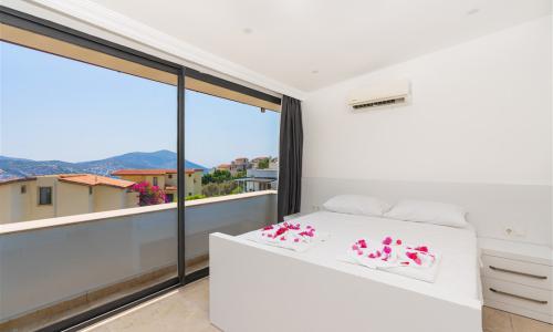 Villa City — 29