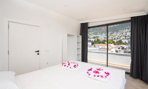 Villa City — 30