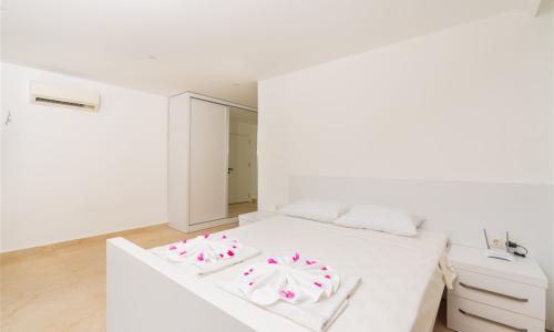 Villa City — 24