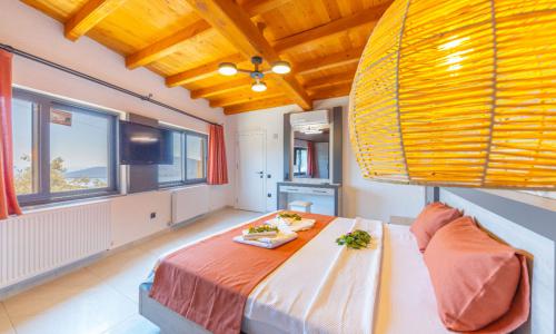 Villa Dacron — 15