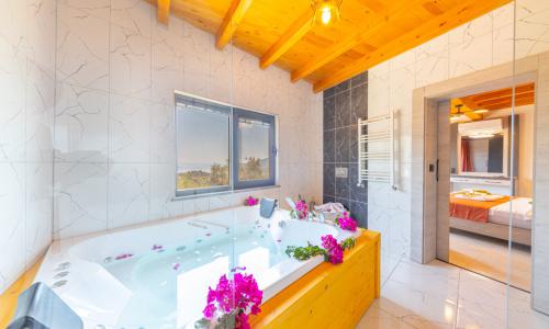 Villa Dacron — 18
