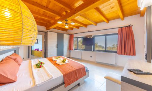 Villa Dacron — 19