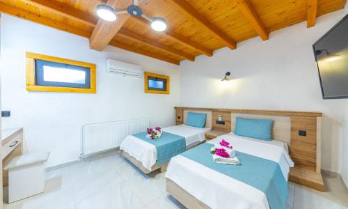 Villa Dacron — 29