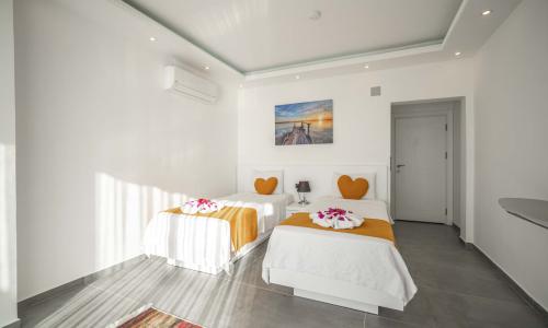 Villa Desde — 41